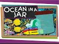 Ocean Zones and Projects