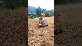Agricultural  farming time @2024
