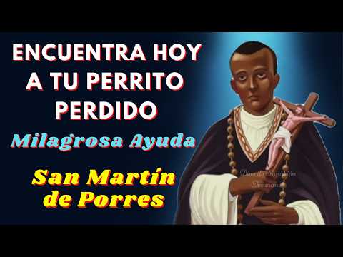 🙏Oración a San Martín de Porres para que mi Perro Perdido Aparezca y Regrese a Casa🙌