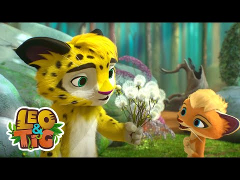 O Rio de Prata | Desenhos infantil 🐯🦁 Leo & Tig