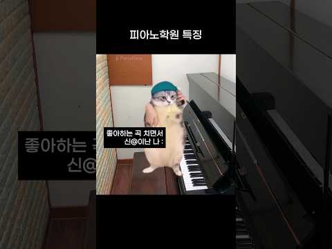 피아노학원에서 살아남기 #shorts