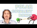 Understanding Polar Covalent Bonds
