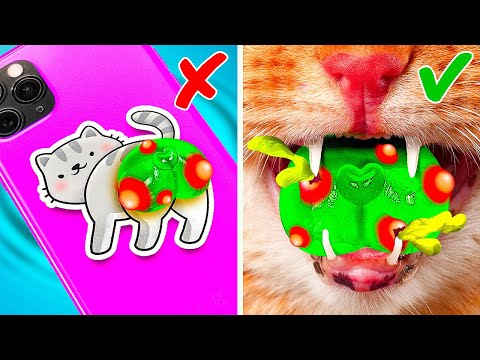 Rescue this Poor Cat! 🙀 Cute and Crazy Gadgets and Cat Toys! 😻