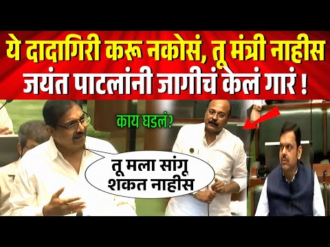 भर सभागृहात जयंत पाटलांनी भाजप आमदाराला जागीचं केलं गार ! काय घडलं? Jayant Patil vidhansabha session