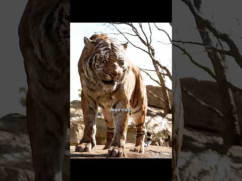 The Jungle Book (2016) | Shere Khan Breaks the Peace: Mowgli's Life in Danger 🐅🌿⚡