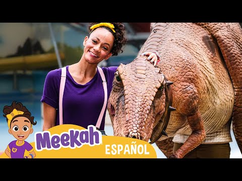 Meekah conoce a Stanley el dinosaurio  💜¡Hola Meekah!💜#blippiespanol #meekah #meekahespanol
