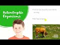 Exploring Photosynthesis and Cellular Respiration
