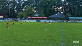 KFC Halle - Alberta Schilde 1ste elftal Heren