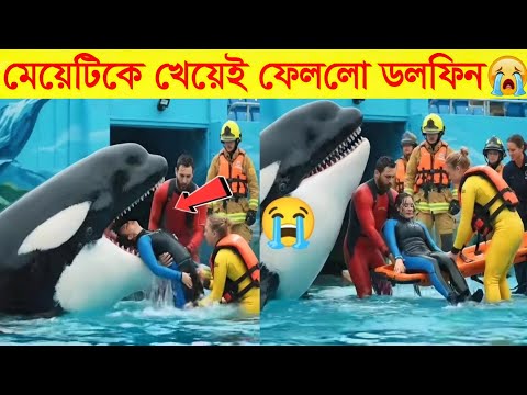 সবার সামনেই নিজের মালিককেই খেয়ে ফেলেছে এই ডলফিন | jessica radcliffe orca attack