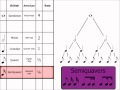 Understanding Musical Note Values
