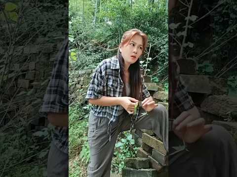 masteran burung viral kocak bikin ngakak hiburan warga +62 fuunyvideos