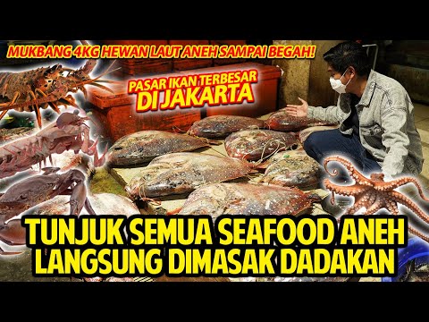 TUNJUK SEMUA SEAFOOD ANEH DIMASAK DADAKAN! MAKAN 4KG SAMPAI BEGAH! PASAR IKAN TERBESAR DI JAKARTA!