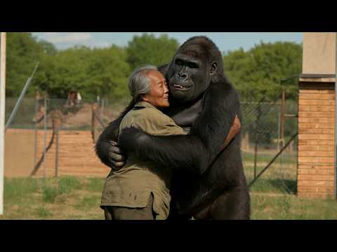 Animals Reunited With Owners After Years !