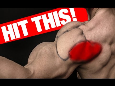 Rear Deltoid Workout (MASS AND STRENGTH)