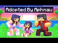 Minecraft Knowledge and Trivia
