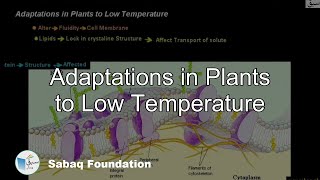Adaptations in Plants to Low Temperature