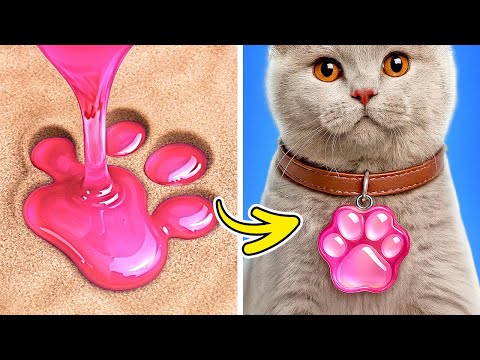 DIY Collar For Your Cat 🐾 🐱 *We Built a House For a Homeless Kitten!*