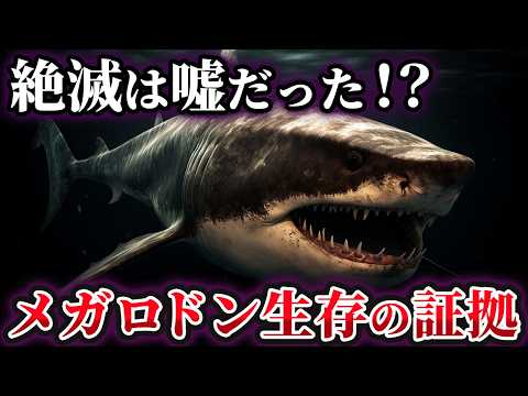 【ゆっくり解説】メガロドンは今もマリアナ海溝で生きている!?生存を裏付ける決定的証拠