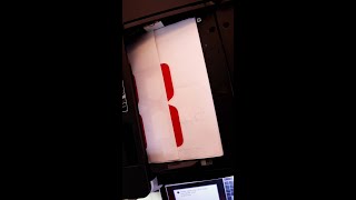 Lolo Faravelli 8 de enero.mp4