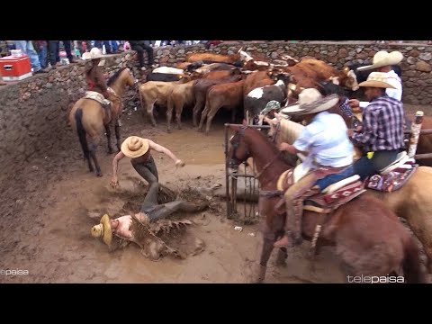 Lo Mejor de Los Coleaderos 2020