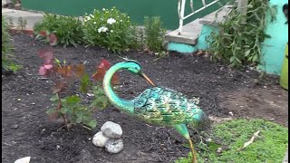 Stahley Garden (Keyport GardenWalk 2023)