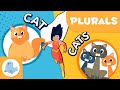 Understanding Plural Nouns