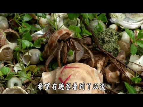 【小人物大英雄】20161016 - 還給寄居蟹一個家 - YouTube(24分)