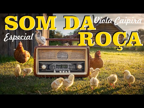 🎼SÓ MODÃO DAS ANTIGAS   💗08/11/2024 (Sertanejo Raiz/Moda de Viola Caipira)