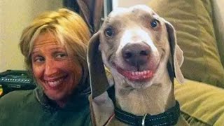 Animals Doing Silly Things and Imitating Humans 😂 Funny Animal Videos 2025