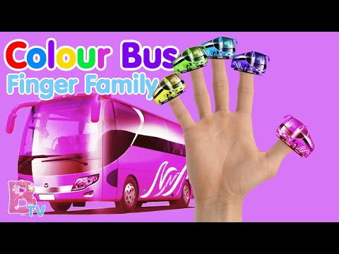 COLOUR BUS FINGER FAMILY Nursery Rhymes & Kids Songs