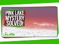 Understanding Extremophiles and Human Evolution