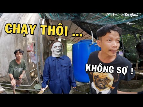 Trò chơi lễ hội Halloween bất ngờ dành cho ông chủ trại cá Betta