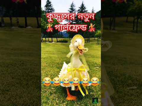 কুদ্দুসের নতুন গার্লফ্রেন্ড ll kudduser new Girlfriend ll #shorts #blogsrkr #cat