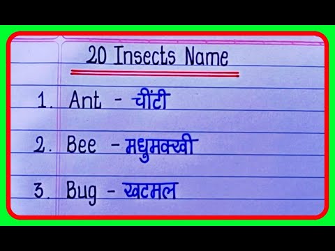 Insects name in Hindi and English /कीड़े मकोड़े के नाम इंग्लिश और हिंदी में / write name of insects