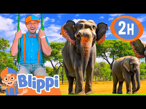 Blippi Learns About Jungle Animals |  Blippi and Meekah Best Friend Adventures | Educational Videos