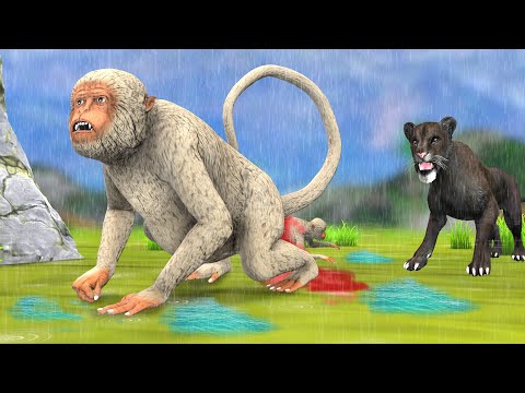 गर्भवती बंदर का दुःख और काला तेंदुआ का हमला Pregnant Monkey Baby And Black Panther Attack Story