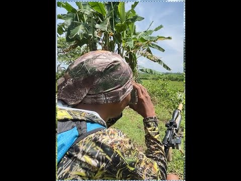 Yang paham pasti tau lah ya , doble shot di sepuluh meter , HOKI . Video full lagi di dapur