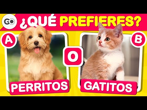 QUÉ PREFIERES edición ANIMALES 🐶😺 Gatos o Perros | Test de animales | 🦁🦓quiz de animales | Preguntas