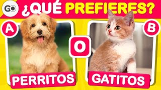 QUÉ PREFIERES edición ANIMALES 🐶😺 Gatos o Perros | Test de animales | 🦁🦓quiz de animales | Preguntas