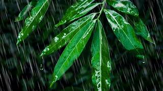 Rain Sounds for Peaceful Sleep