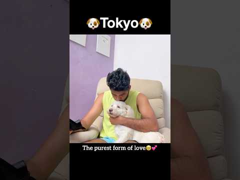 Dog love🥰😘 | A day in my life | watch full video on my YouTube channel