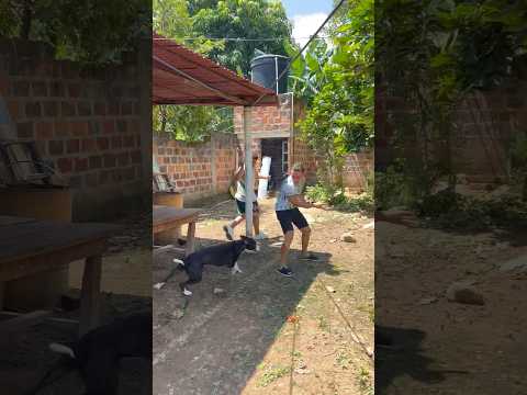 El perro Beto