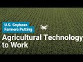 Sustainable Farming and Technology