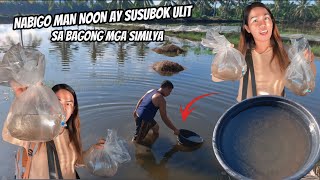 NAGLAGAY NA KAMI NG BAGONG SIMILYA SA AMING FISHPOND 
