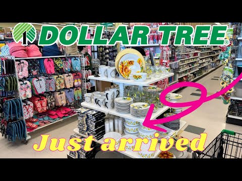 SHOP New Dollar Tree FINDS