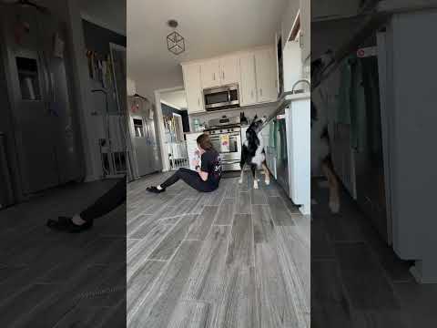 Heartwarming Moment Between Woman and Her Loyal Dog