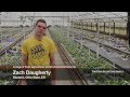 Cedar Lane Farms Internship Insights