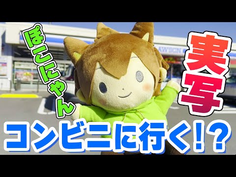 【実写】ぽこにゃんがコンビニに行く！？