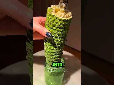 Essa Fruta PODE Ser FATAL! 😮🍌🍍 #curiosidades #shorts #interessante