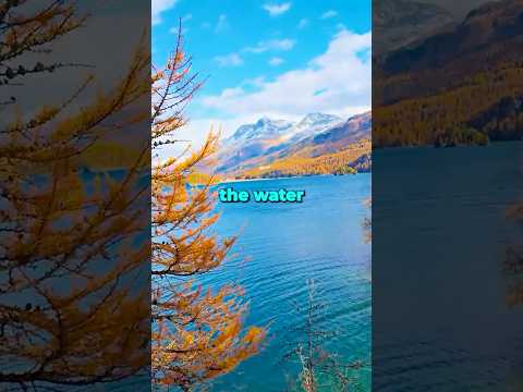 The Hidden History of a Lake That Ruined Families